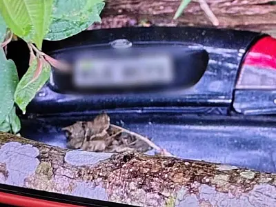 Carro foi encontrado em ribanceira em SFX