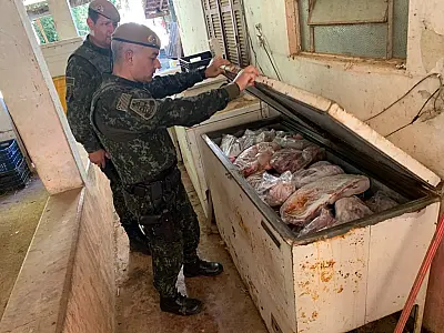 Carne armazenada em freezers será descartada após apreensão.