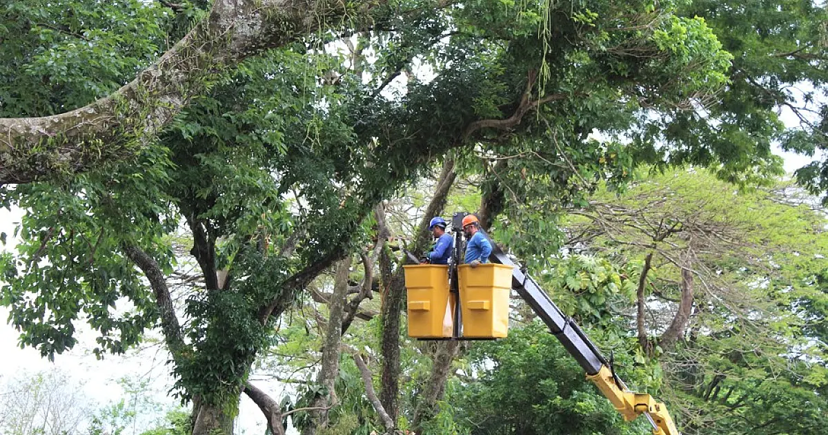 Diário Oficial registra aditamento de R$ 2,27 milhões em contrato de poda de árvores e vigência até 2027, em São José