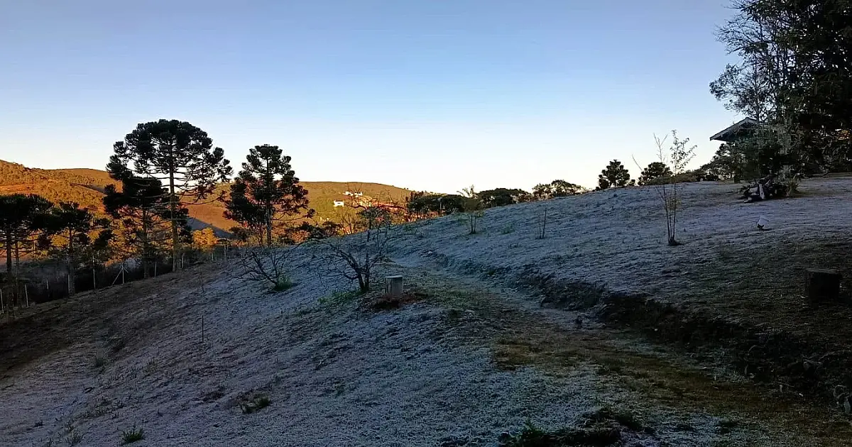 Menor temperatura do ano em SP é registrada em Campos do Jordão; confira orientações da Defesa Civil