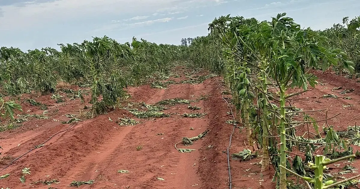 Guaratinguetá terá linha de crédito de até R$ 50 mil para produtores rurais afetados por eventos climáticos