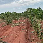 Guaratinguetá terá linha de crédito de até R$ 50 mil para produtores rurais afetados por eventos climáticos