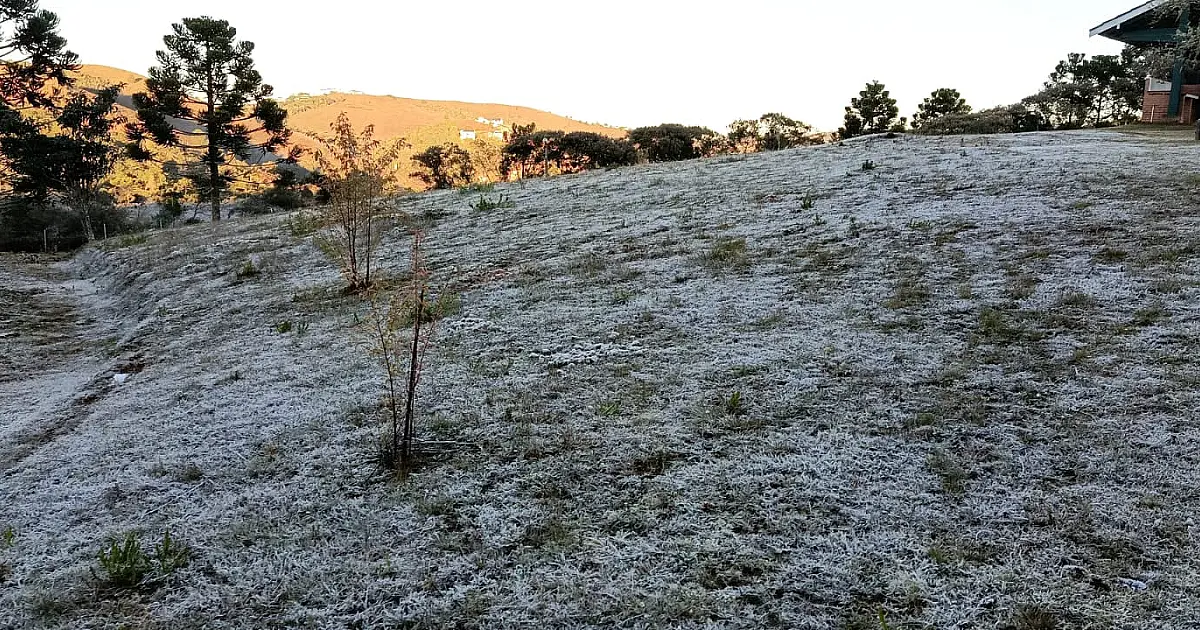 Geada volta a cobrir Campos do Jordão após mínima de 2,1°C