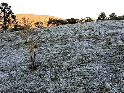 Paisagem ficou coberta por geada em Campos do Jordão.
