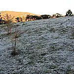 Geada volta a cobrir Campos do Jordão após mínima de 2,1°C