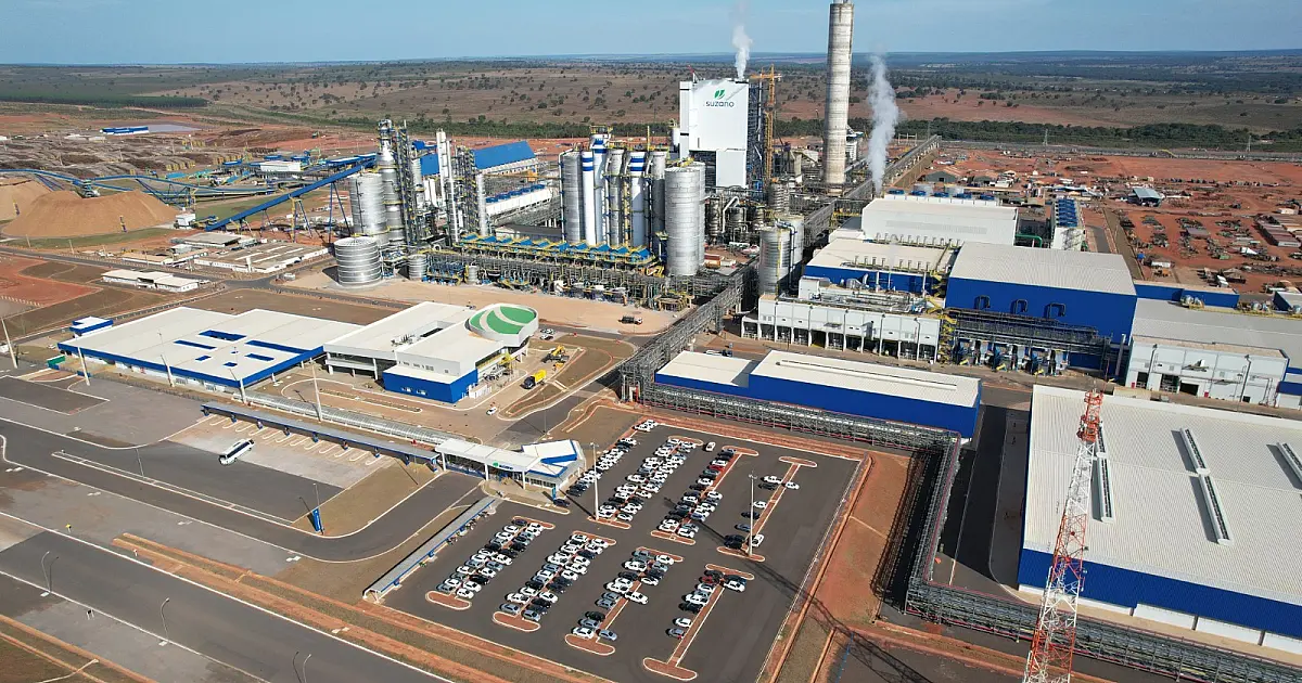 Suzano abre vagas de emprego em Jacareí, Taubaté e Caçapava; confira como se candidatar